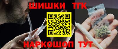 индика Кулебаки